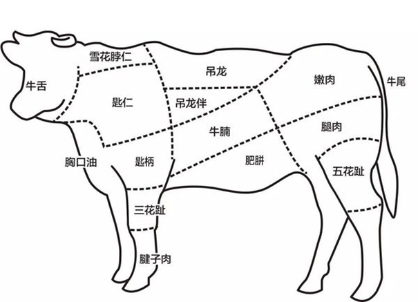 冷凍牛肉進(jìn)口報(bào)關(guān)需注意的操作細(xì)節(jié) 冷凍牛肉進(jìn)口報(bào)關(guān)